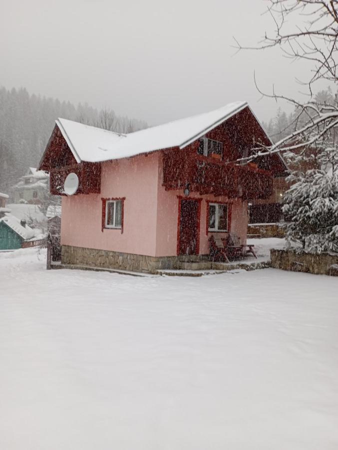 Holiday Home Melodiya Karpat Yaremche Luaran gambar