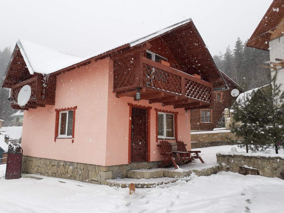 Holiday Home Melodiya Karpat Yaremche Luaran gambar